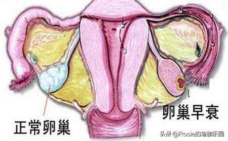 怀孕八周香港验血需要空腹吗,男人经常抽烟喝酒吃炸鸡熬夜，能备孕吗？