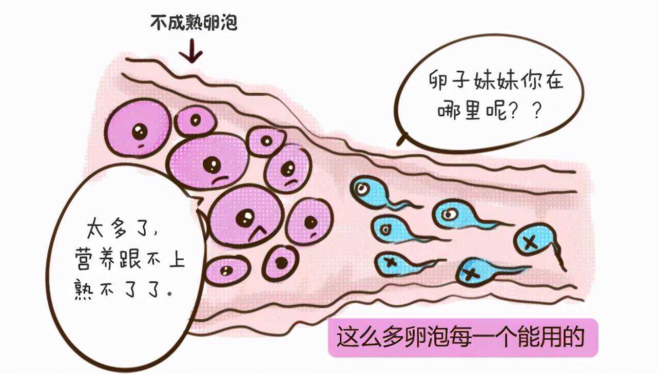 微信帮忙去香港验血,多囊卵巢综合症备孕吃什么食物好