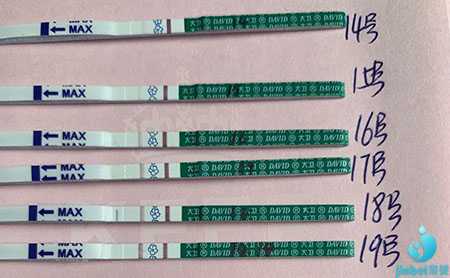 孕妇去香港验血查性别准吗,智特医疗张欣博士谈美国试管婴儿冻卵：辅酶Q10与