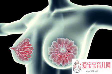 香港官网预约验血查男女,经期前乳房胀痛是何故？