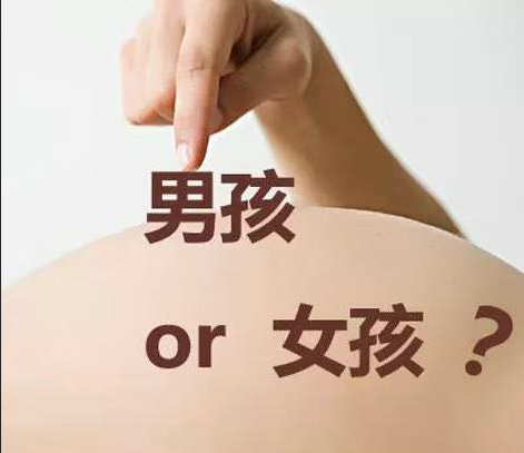 香港时代验血微信_上海去验血测男女准确率有多少？本相在这里